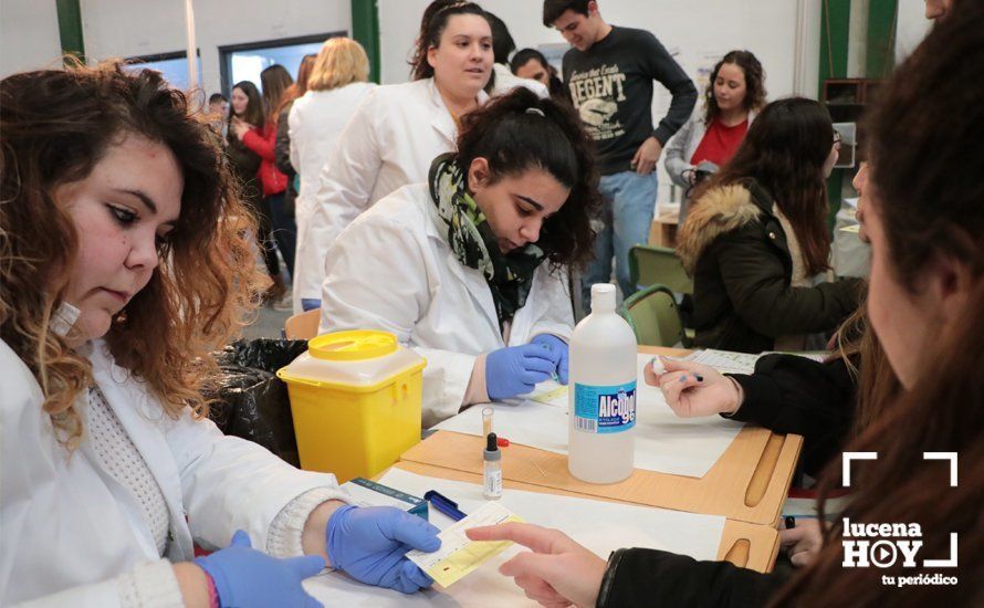 GALERÍA: Abre sus puertas el XV Salón del Estudiante de Lucena con la previsión de recibir a más de 6.000 jóvenes en tres días