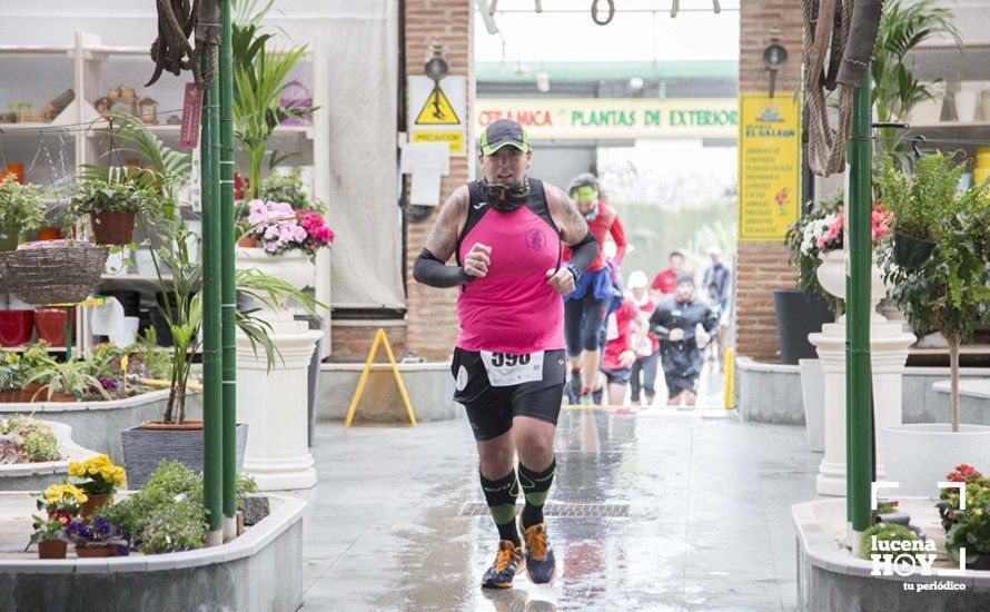 GALERÍA 2: Una Media Maratón singular: Del Palacio de los Condes de Santa Ana a la Huerta del Galeón... correr Lucena