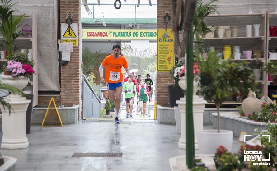 GALERÍA 2: Una Media Maratón singular: Del Palacio de los Condes de Santa Ana a la Huerta del Galeón... correr Lucena GALERÍA 2: Una Media Maratón singular: Del Palacio de los Condes de Santa Ana a la Huerta del Galeón... correr Lucena