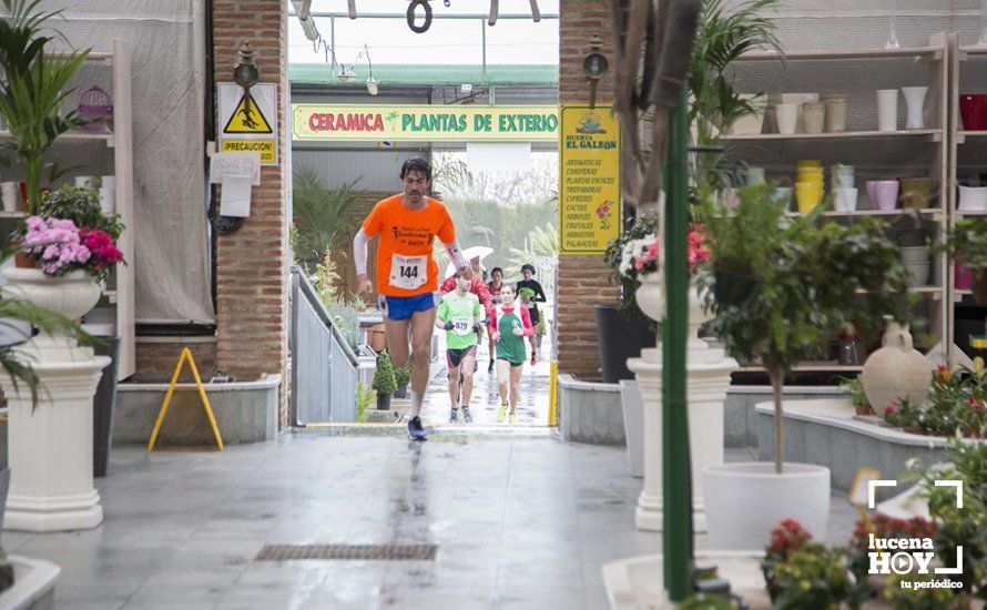 GALERÍA 2: Una Media Maratón singular: Del Palacio de los Condes de Santa Ana a la Huerta del Galeón... correr Lucena