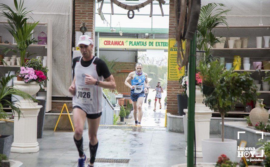 GALERÍA 2: Una Media Maratón singular: Del Palacio de los Condes de Santa Ana a la Huerta del Galeón... correr Lucena