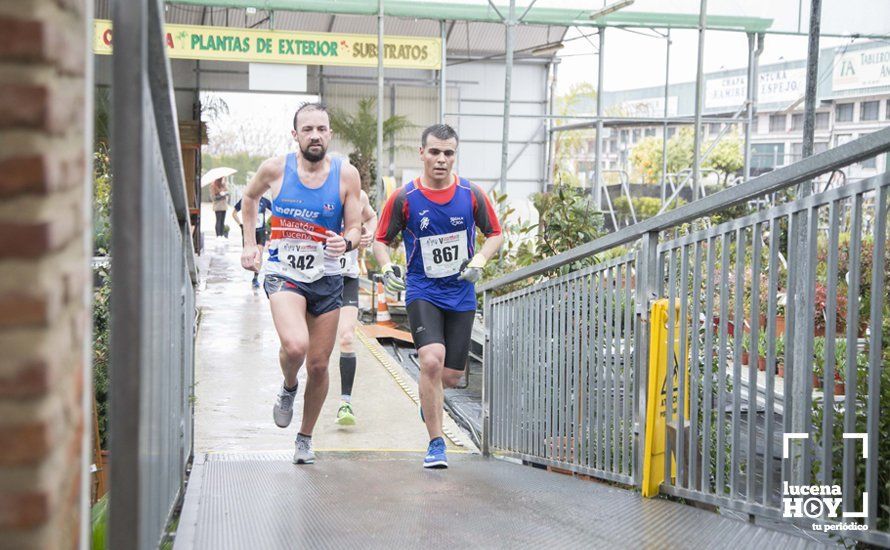 GALERÍA 2: Una Media Maratón singular: Del Palacio de los Condes de Santa Ana a la Huerta del Galeón... correr Lucena