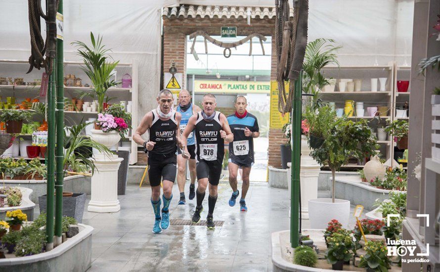 GALERÍA 2: Una Media Maratón singular: Del Palacio de los Condes de Santa Ana a la Huerta del Galeón... correr Lucena