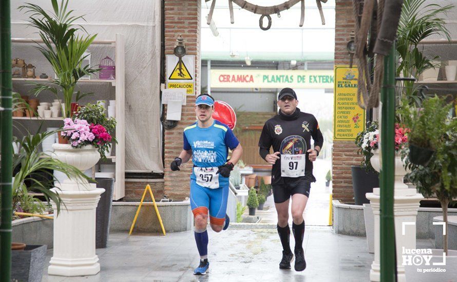 GALERÍA 2: Una Media Maratón singular: Del Palacio de los Condes de Santa Ana a la Huerta del Galeón... correr Lucena