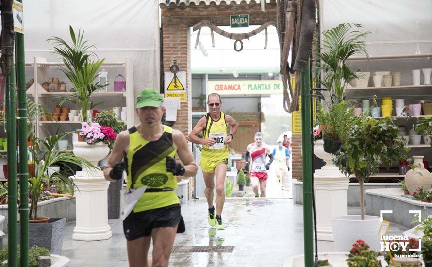 GALERÍA 2: Una Media Maratón singular: Del Palacio de los Condes de Santa Ana a la Huerta del Galeón... correr Lucena