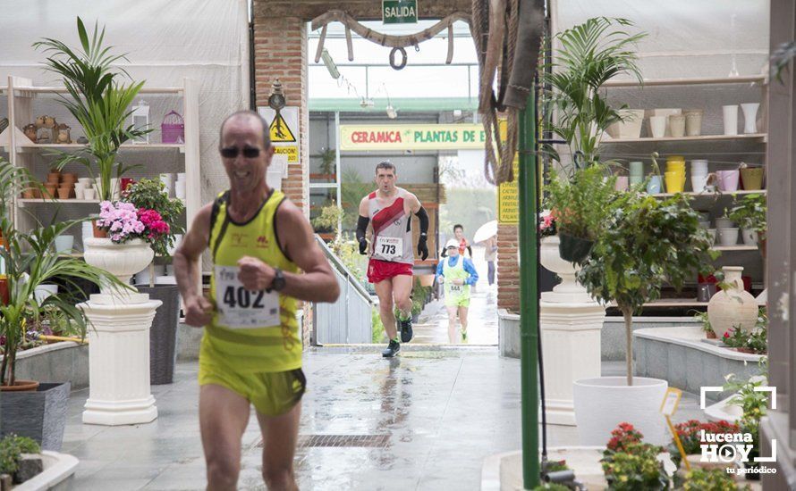 GALERÍA 2: Una Media Maratón singular: Del Palacio de los Condes de Santa Ana a la Huerta del Galeón... correr Lucena