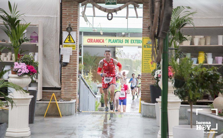 GALERÍA 2: Una Media Maratón singular: Del Palacio de los Condes de Santa Ana a la Huerta del Galeón... correr Lucena