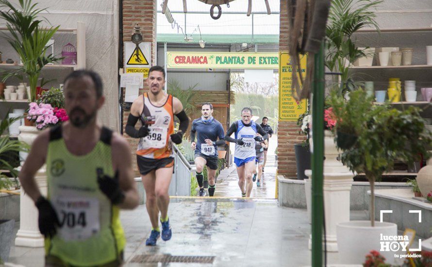 GALERÍA 2: Una Media Maratón singular: Del Palacio de los Condes de Santa Ana a la Huerta del Galeón... correr Lucena