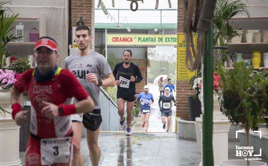 GALERÍA 2: Una Media Maratón singular: Del Palacio de los Condes de Santa Ana a la Huerta del Galeón... correr Lucena