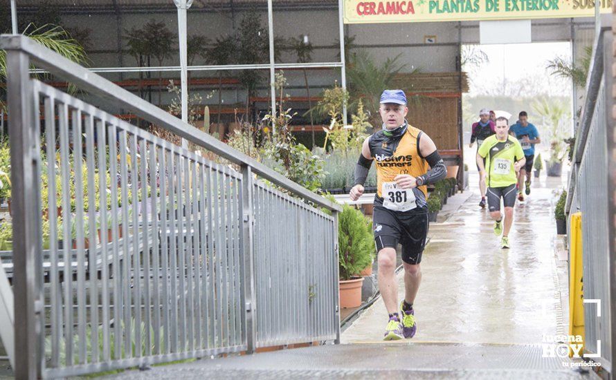 GALERÍA 2: Una Media Maratón singular: Del Palacio de los Condes de Santa Ana a la Huerta del Galeón... correr Lucena