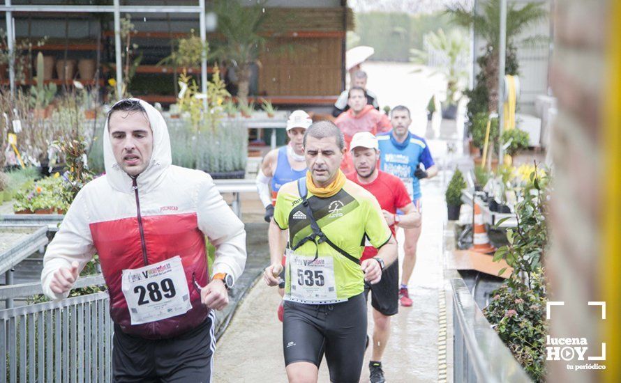 GALERÍA 2: Una Media Maratón singular: Del Palacio de los Condes de Santa Ana a la Huerta del Galeón... correr Lucena