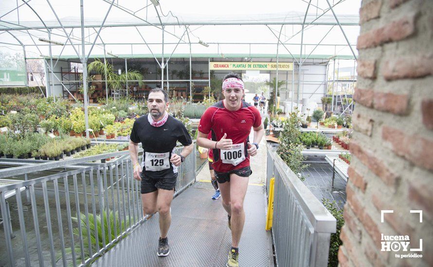 GALERÍA 2: Una Media Maratón singular: Del Palacio de los Condes de Santa Ana a la Huerta del Galeón... correr Lucena