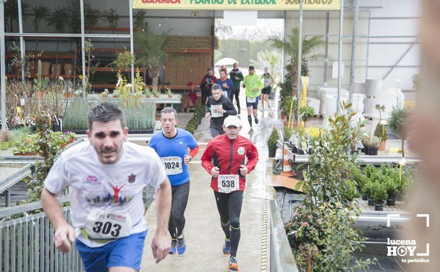 GALERÍA 2: Una Media Maratón singular: Del Palacio de los Condes de Santa Ana a la Huerta del Galeón... correr Lucena