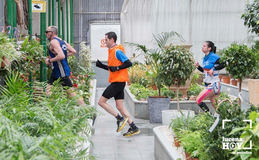 GALERÍA 2: Una Media Maratón singular: Del Palacio de los Condes de Santa Ana a la Huerta del Galeón... correr Lucena