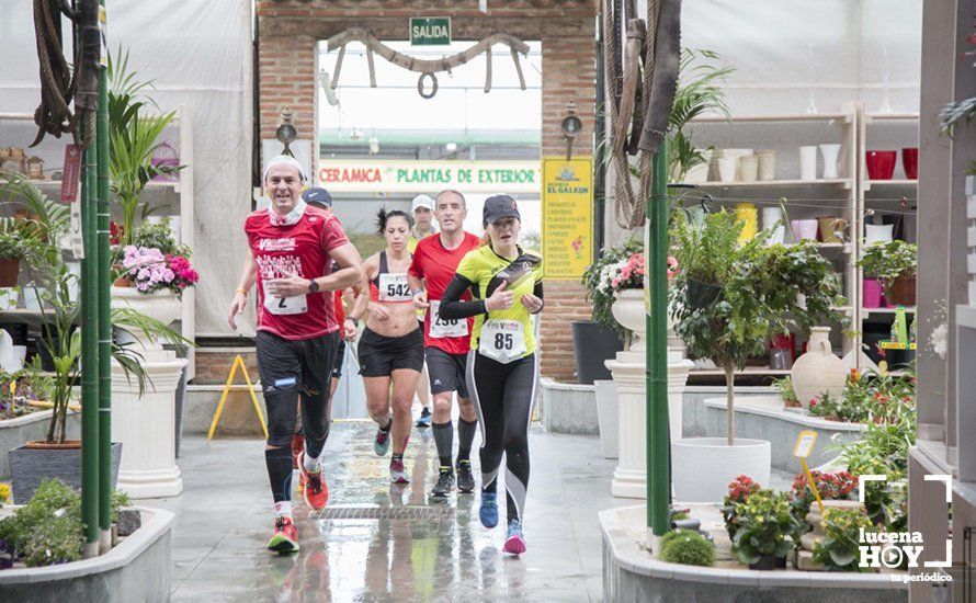 GALERÍA 2: Una Media Maratón singular: Del Palacio de los Condes de Santa Ana a la Huerta del Galeón... correr Lucena