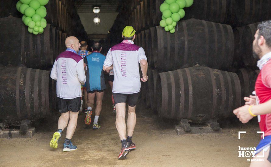 GALERÍA 2: Una Media Maratón singular: Del Palacio de los Condes de Santa Ana a la Huerta del Galeón... correr Lucena