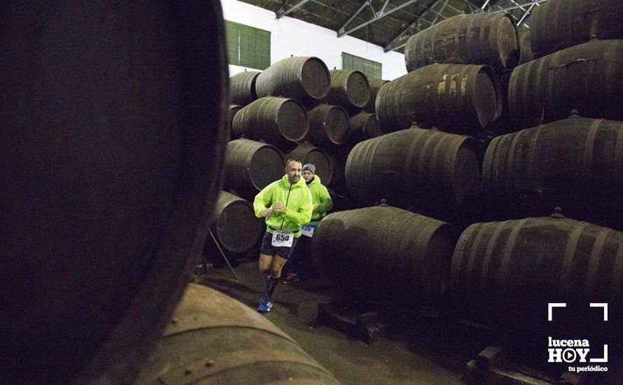 GALERÍA 2: Una Media Maratón singular: Del Palacio de los Condes de Santa Ana a la Huerta del Galeón... correr Lucena