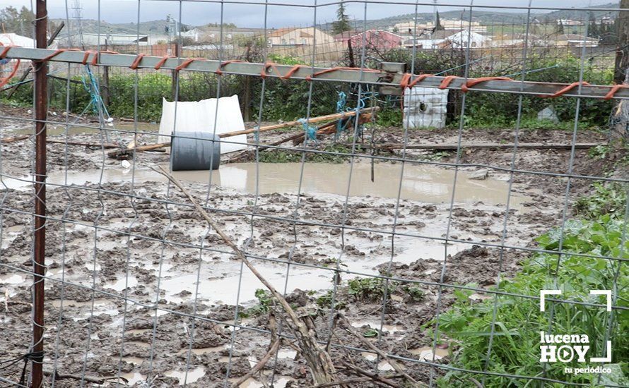 PARCELA INUNDADA TORCA