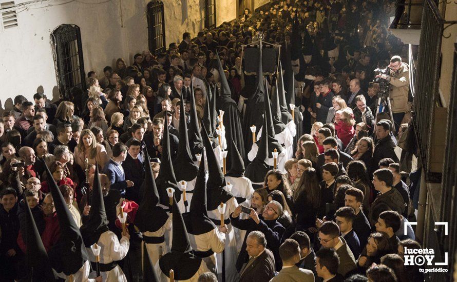 GALERÍA: Domingo de Ramos: Sagrado Encuentro