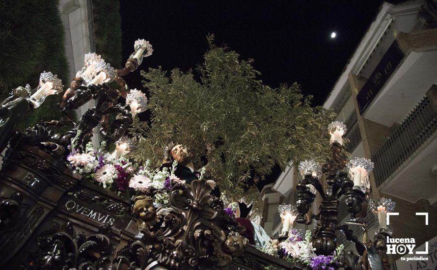 GALERÍA: Domingo de Ramos: El Huerto