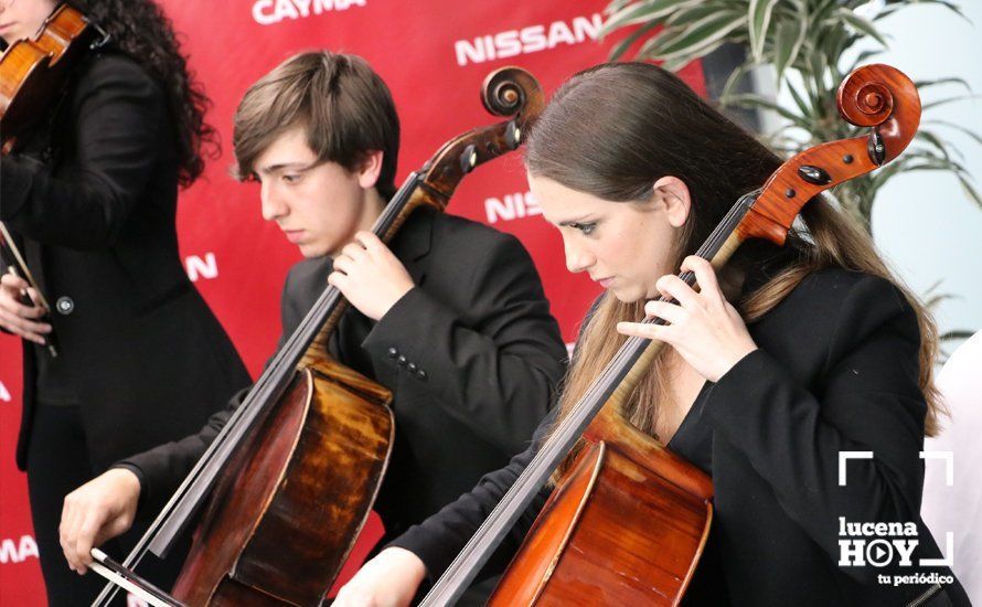 GALERÍA: Cayma Motor y Nissan presenta sus renovadas instalaciones y su apuesta por la 'movilidad inteligente' GALERÍA: Cayma Motor y Nissan presenta sus renovadas instalaciones y su apuesta por la 'movilidad inteligente'