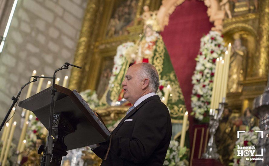 GALERÍA / Fiestas Aracelitanas 2018: El "paseillo" y el Pregón de José Millán en fotos GALERÍA / Fiestas Aracelitanas 2018: El "paseillo" y el Pregón de José Millán en fotos