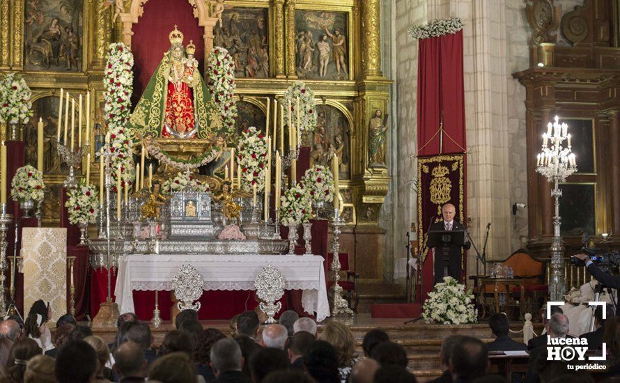 GALERÍA / Fiestas Aracelitanas 2018: El "paseillo" y el Pregón de José Millán en fotos GALERÍA / Fiestas Aracelitanas 2018: El "paseillo" y el Pregón de José Millán en fotos