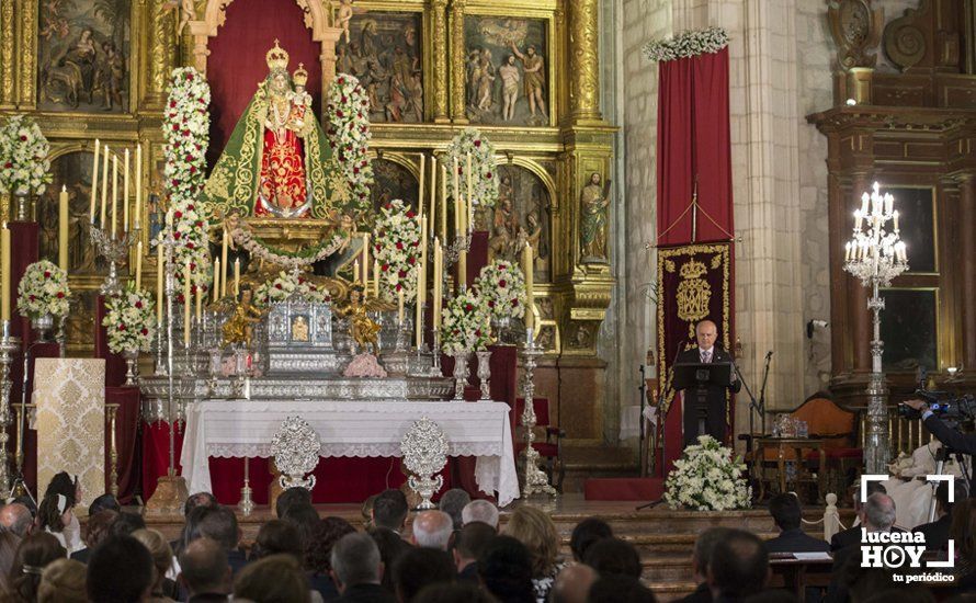 GALERÍA / Fiestas Aracelitanas 2018: El "paseillo" y el Pregón de José Millán en fotos