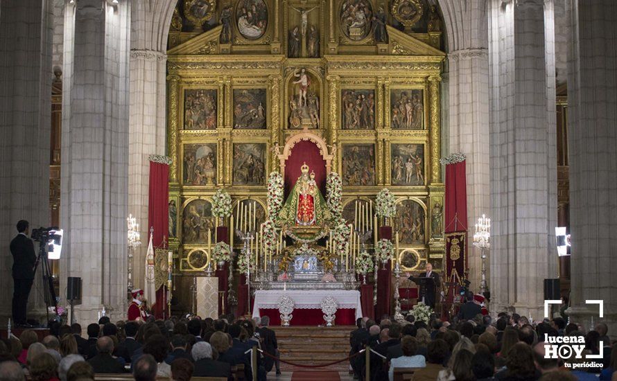 GALERÍA / Fiestas Aracelitanas 2018: El "paseillo" y el Pregón de José Millán en fotos