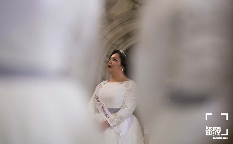 GALERÍA / Fiestas Aracelitanas 2018: El "paseillo" y el Pregón de José Millán en fotos GALERÍA / Fiestas Aracelitanas 2018: El "paseillo" y el Pregón de José Millán en fotos