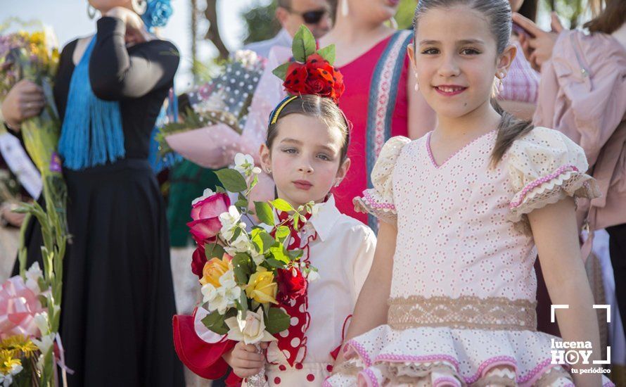 GALERÍA / Fiestas Aracelitanas 2018: Ofrenda Floral: Un altar multicolor para María Stma. de Araceli GALERÍA / Fiestas Aracelitanas 2018: Ofrenda Floral: Un altar multicolor para María Stma. de Araceli
