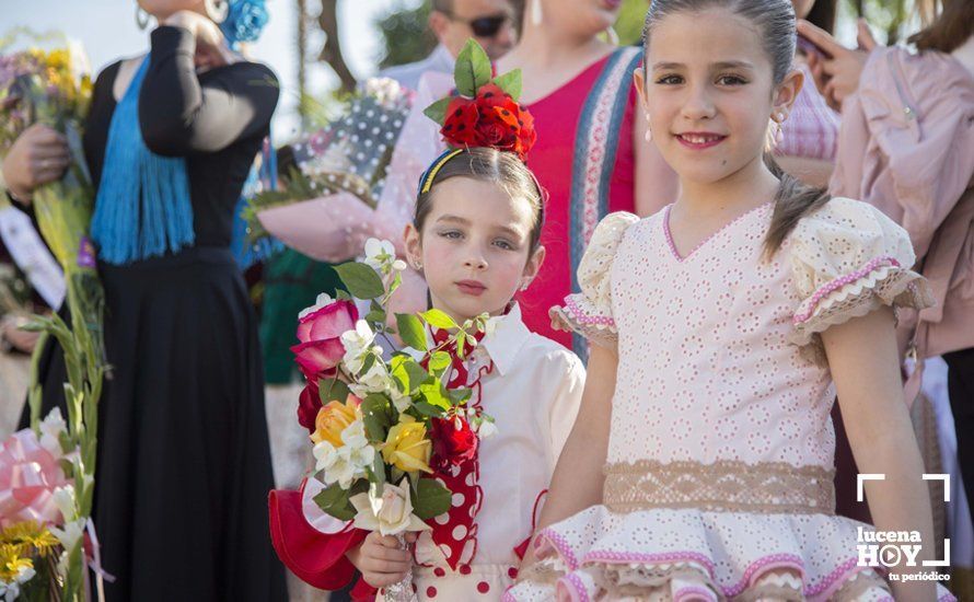 GALERÍA / Fiestas Aracelitanas 2018: Ofrenda Floral: Un altar multicolor para María Stma. de Araceli