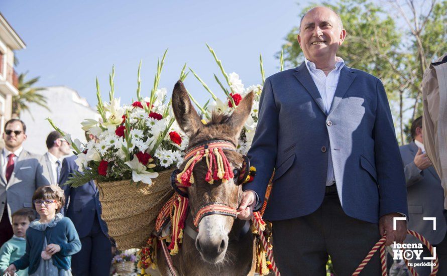 GALERÍA / Fiestas Aracelitanas 2018: Ofrenda Floral: Un altar multicolor para María Stma. de Araceli