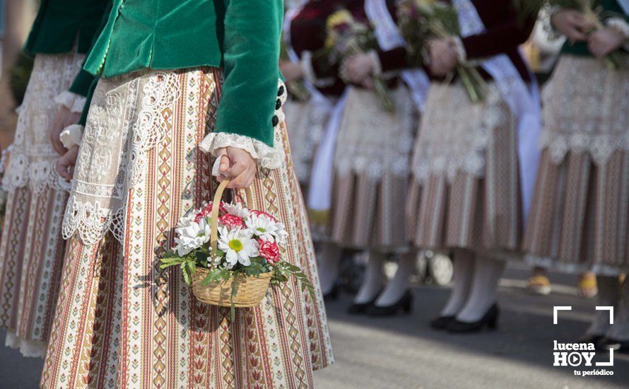 GALERÍA / Fiestas Aracelitanas 2018: Ofrenda Floral: Un altar multicolor para María Stma. de Araceli