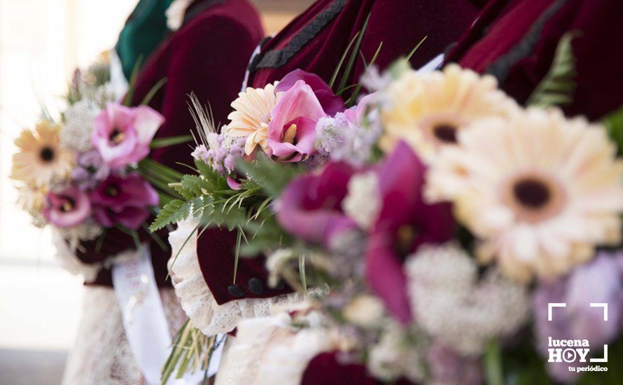 GALERÍA / Fiestas Aracelitanas 2018: Ofrenda Floral: Un altar multicolor para María Stma. de Araceli