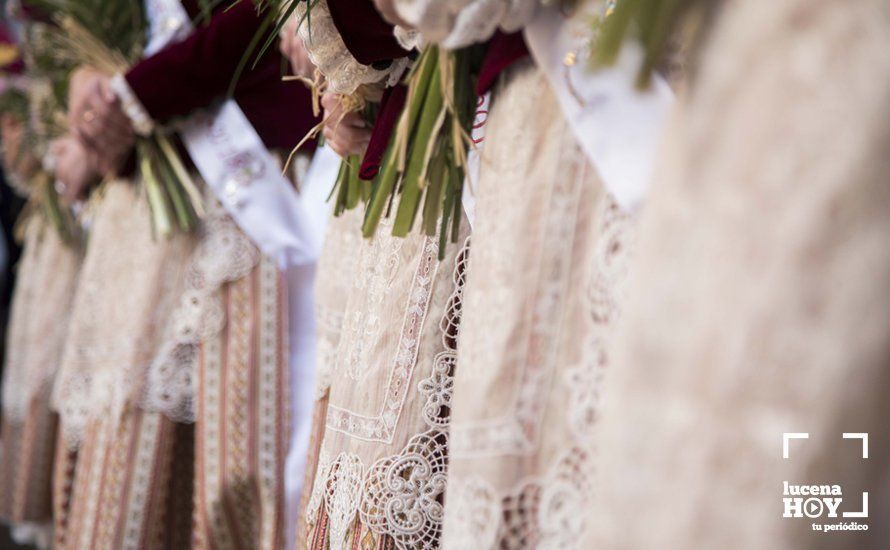 GALERÍA / Fiestas Aracelitanas 2018: Ofrenda Floral: Un altar multicolor para María Stma. de Araceli