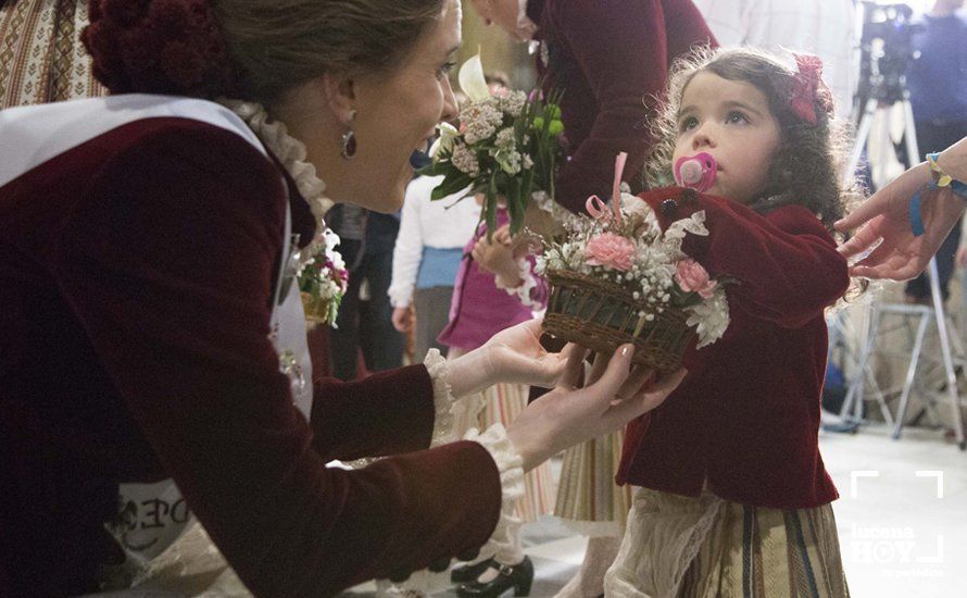 GALERÍA / Fiestas Aracelitanas 2018: Ofrenda Floral: Un altar multicolor para María Stma. de Araceli GALERÍA / Fiestas Aracelitanas 2018: Ofrenda Floral: Un altar multicolor para María Stma. de Araceli