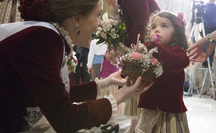 GALERÍA / Fiestas Aracelitanas 2018: Ofrenda Floral: Un altar multicolor para María Stma. de Araceli