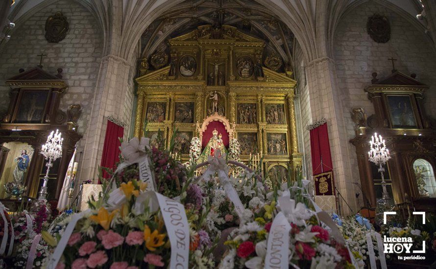 GALERÍA / Fiestas Aracelitanas 2018: Ofrenda Floral: Un altar multicolor para María Stma. de Araceli