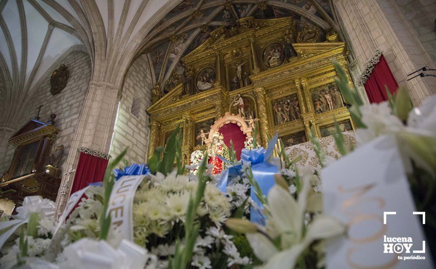GALERÍA / Fiestas Aracelitanas 2018: Ofrenda Floral: Un altar multicolor para María Stma. de Araceli GALERÍA / Fiestas Aracelitanas 2018: Ofrenda Floral: Un altar multicolor para María Stma. de Araceli