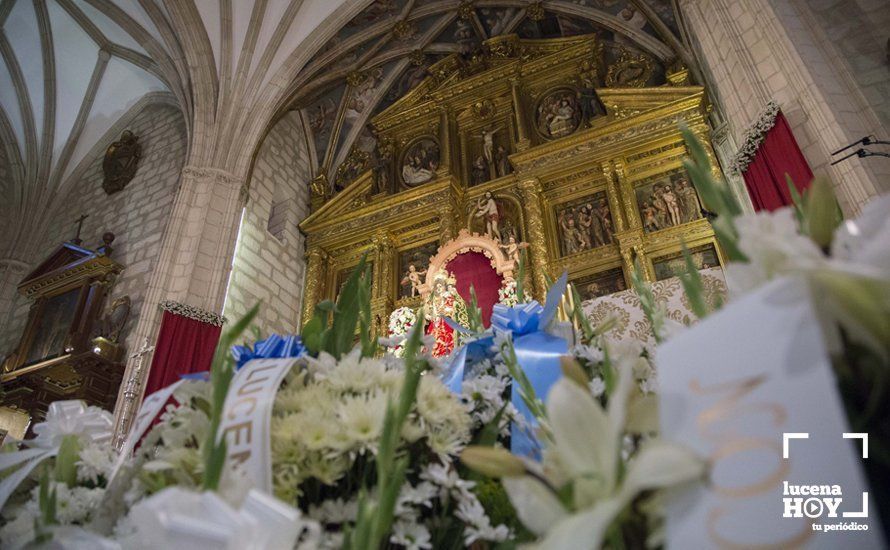 GALERÍA / Fiestas Aracelitanas 2018: Ofrenda Floral: Un altar multicolor para María Stma. de Araceli