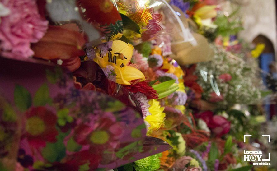 GALERÍA / Fiestas Aracelitanas 2018: Ofrenda Floral: Un altar multicolor para María Stma. de Araceli