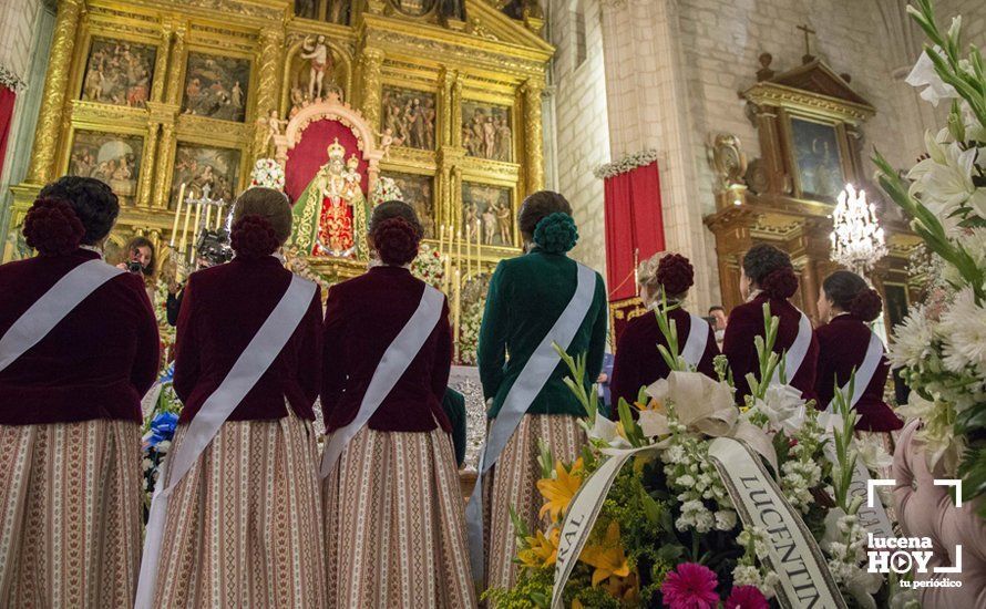 GALERÍA / Fiestas Aracelitanas 2018: Ofrenda Floral: Un altar multicolor para María Stma. de Araceli