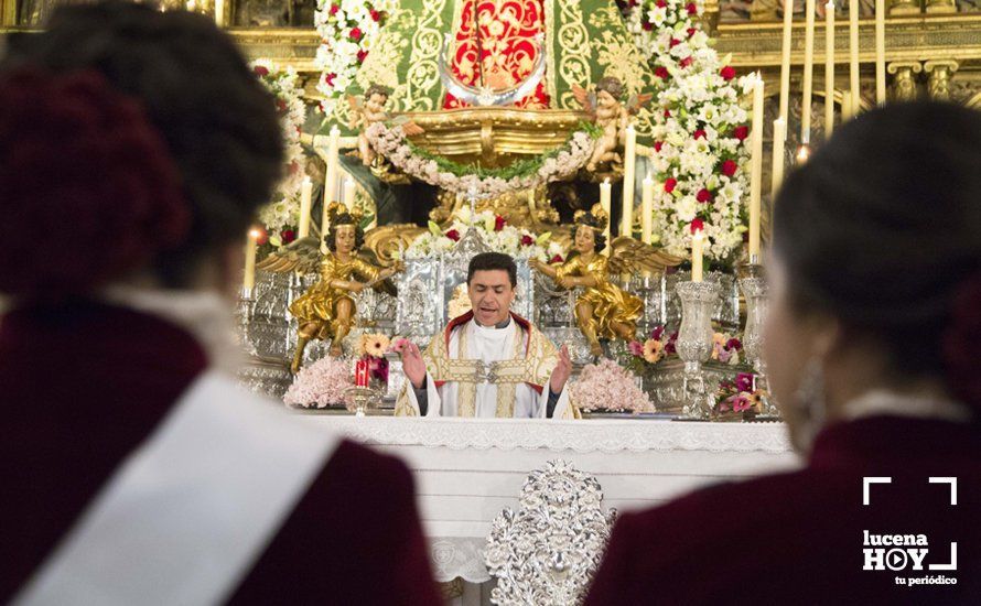 GALERÍA / Fiestas Aracelitanas 2018: Ofrenda Floral: Un altar multicolor para María Stma. de Araceli