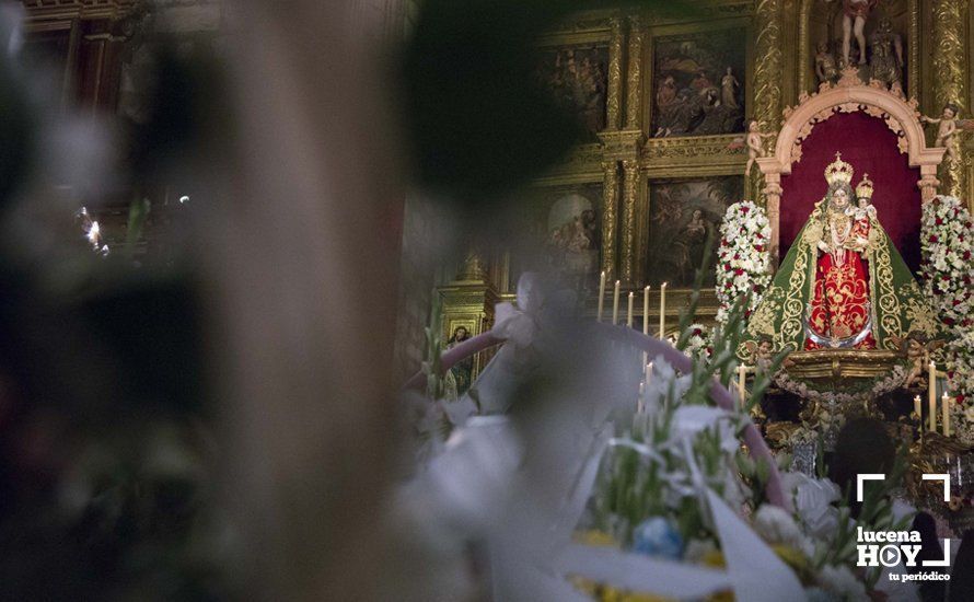 GALERÍA / Fiestas Aracelitanas 2018: Ofrenda Floral: Un altar multicolor para María Stma. de Araceli