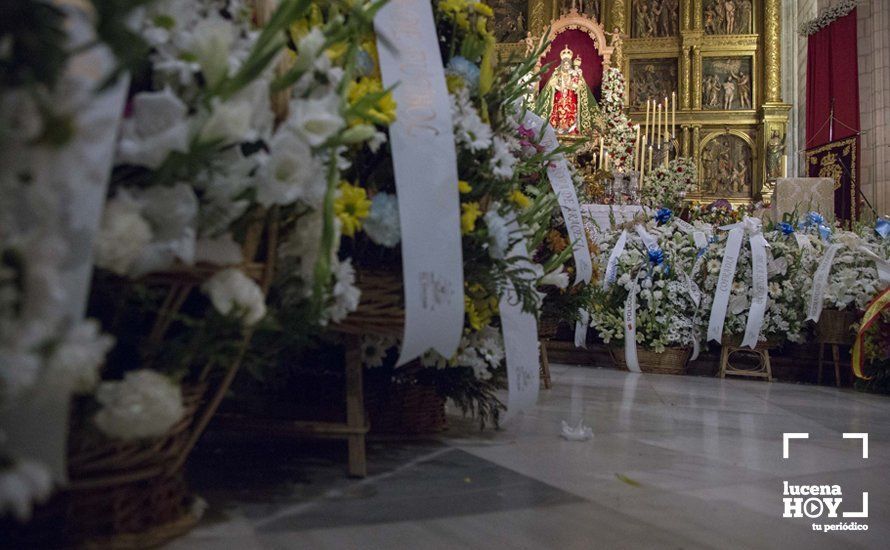 GALERÍA / Fiestas Aracelitanas 2018: Ofrenda Floral: Un altar multicolor para María Stma. de Araceli