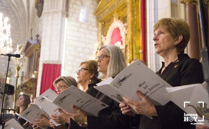 GALERÍA / Fiestas Aracelitanas 2018: Las mejores fotos de la Función Religiosa