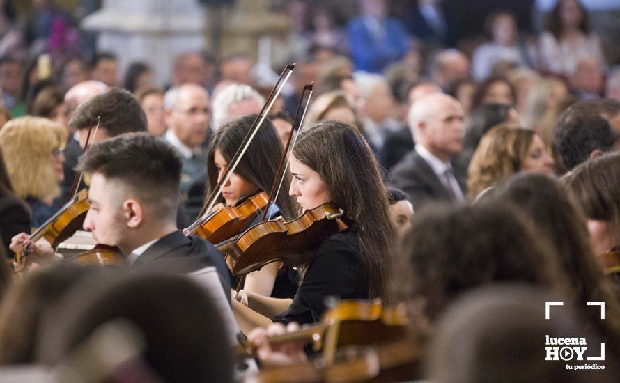 GALERÍA / Fiestas Aracelitanas 2018: Las mejores fotos de la Función Religiosa