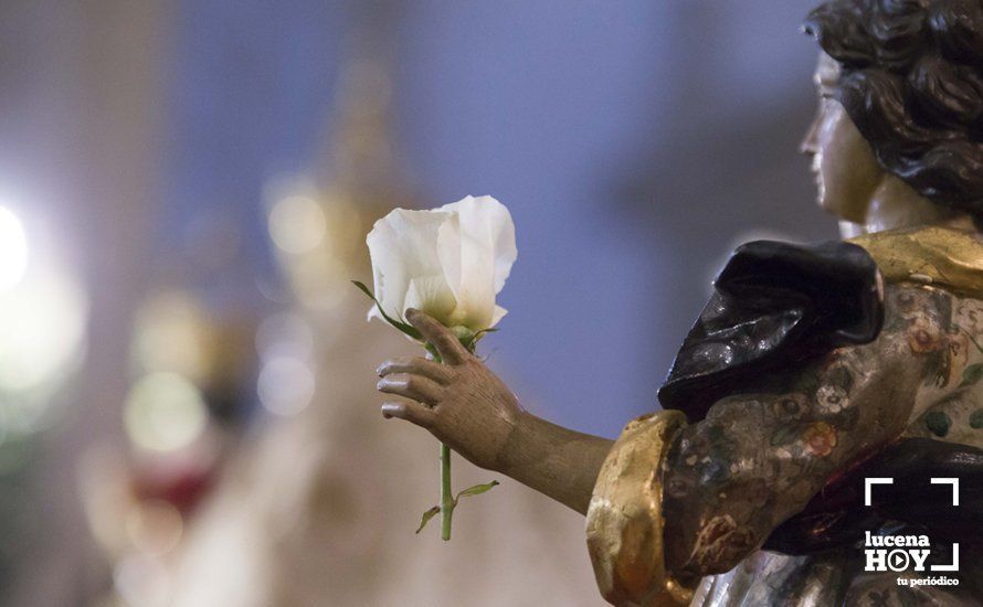 GALERÍA: Multitudinaria participación en el Solemne Besamanos de la Virgen de Araceli GALERÍA: Multitudinaria participación en el Solemne Besamanos de la Virgen de Araceli