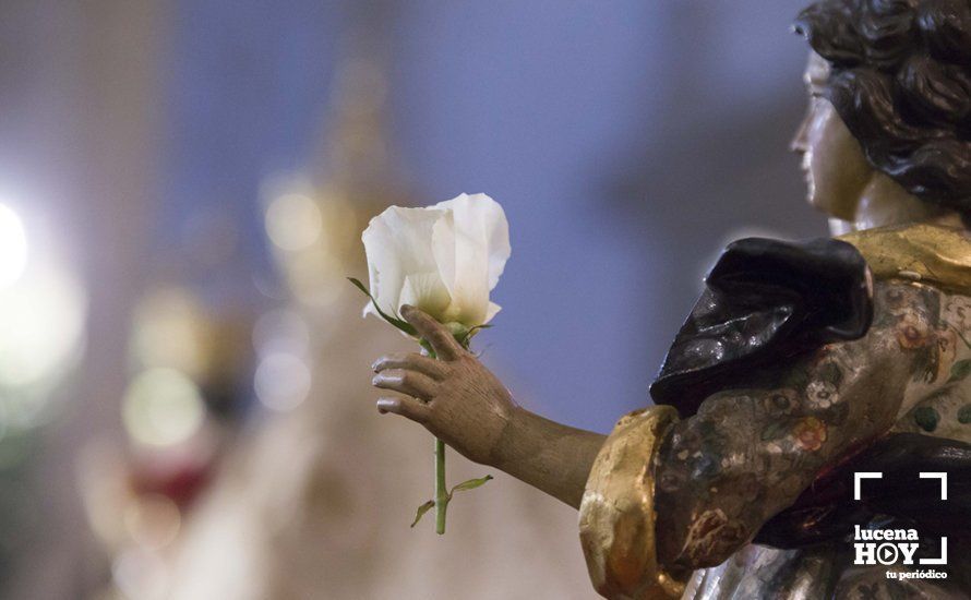 GALERÍA: Multitudinaria participación en el Solemne Besamanos de la Virgen de Araceli